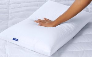 Down Pillow Double Pack