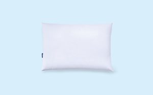 Down Pillow
