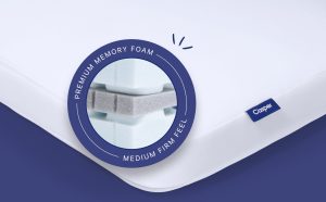 Foam Pillow Double Pack