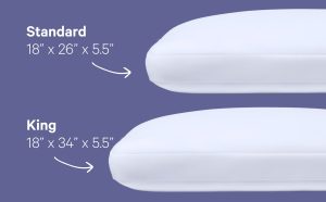 Foam Pillow with Snow Technology